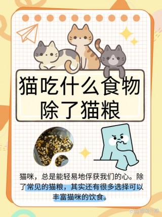 猫咪口臭吃什么？猫咪口臭吃什么可以改善（最新）