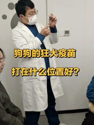 狗狗狂犬疫苗在哪里打？离我最近的狂犬疫苗站（最新）