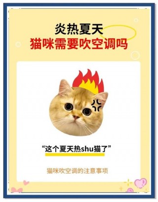猫猫可以吹空调吗，（猫猫可以吹空调吗?）
