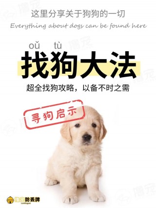 怎么训练狗狗捡东西，怎么训练狗狗捡东西并送回来？