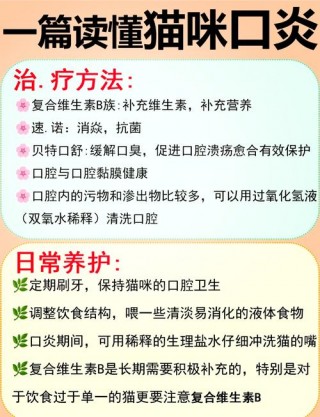 猫咪肉芽肿治疗要多少钱？猫咪肉芽肿早期症状（最新）
