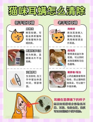 猫咪可以用碘伏吗，猫可以用碘伏消毒吗?？