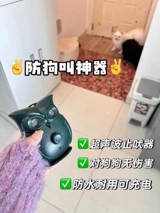 怎样能让狗狗不乱叫，怎么样才可以让狗狗不乱叫？