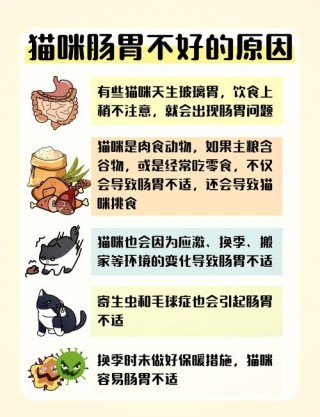 猫咪怎么调理肠胃？猫咪调理肠胃的药（最新）