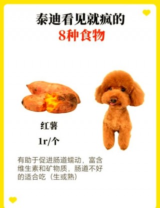 狗狗不吃狗粮怎么喂，狗狗不吃狗粮妙招？