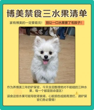 狗狗可以吃奇异果吗，狗最爱的水果第一名？