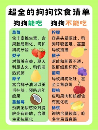 2个月的狗狗吃什么，2个月的狗狗吃什么比较好？