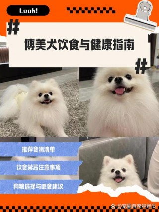 狗狗能吃锅巴吗？狗狗能吃锅巴小零食嘛（最新）