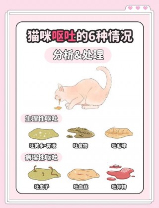 猫咪一直吐怎么回事，猫咪一直吐什么原因？