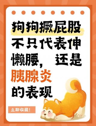 狗狗撅屁股是什么意思，狗狗撅屁股是什么病？