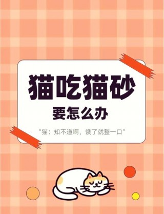 猫咪吃猫砂怎么办，猫咪吃猫砂怎么办啊？