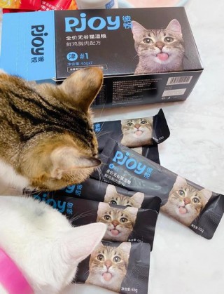 猫咪湿粮怎么做？湿猫粮的制作方法（最新）