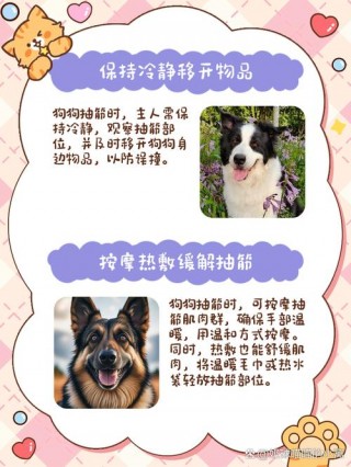 狗狗抽筋怎么办，（狗狗抽筋是什么症状）