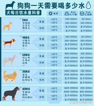 狗狗每天喝多少水，狗狗每天喝多少水尿多少水？