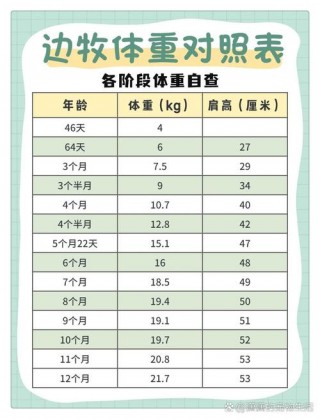 狗狗吃多少狗粮？狗狗吃多少狗粮合适（最新）