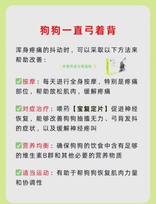 狗狗弓背怎么恢复正常，（狗狗弓背姿势）