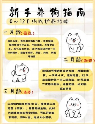 狗狗可以吃粥吗，小狗狗能吃粥吗？