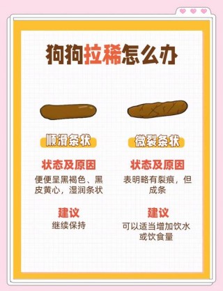 狗狗没精神怎么办，狗狗没精神怎么办还呕吐？