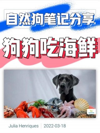 狗狗吃海鲜过敏怎么办？狗狗吃海鲜过敏怎么办啊（最新）