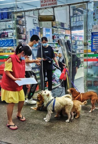 狗狗可以进超市吗？狗狗可以进超市吗（最新）