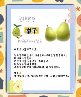 狗狗可以吃生梨吗，狗狗能吃梨吗?？