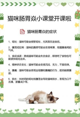 猫咪慢性肠胃炎，（猫咪慢性肠胃炎能自愈吗）