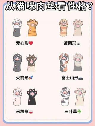 猫咪肉垫看性格？猫咪肉垫看性格准吗（最新）