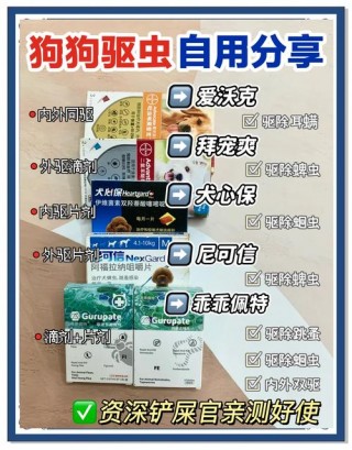 狗狗驱虫药排名？狗狗驱虫药品牌推荐（最新）