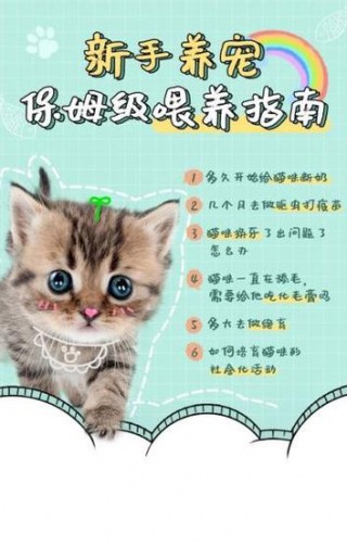猫咪多久可以断奶，猫咪断奶多久可以绝育？