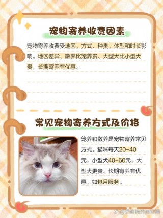 狗狗寄养一个月多少钱？狗狗寄养半个月多少钱（最新）