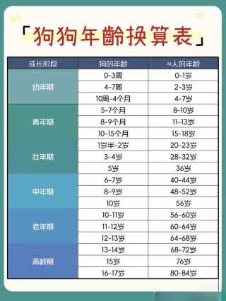 狗狗多大算成年？狗狗多大算成年犬（最新）