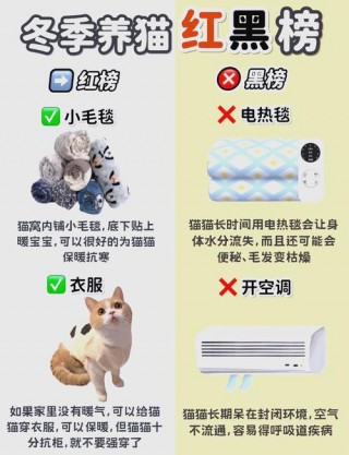 猫咪的正常体温，猫的体温正常值？