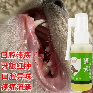 猫咪嘴巴烂了用什么药，猫嘴巴烂了而且还流脓？