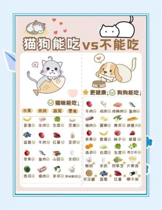 狗狗可以吃泡面吗，狗狗可以吃泡面么？