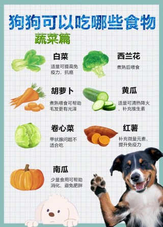 狗狗吃蔬菜好吗？狗狗吃蔬菜吗?（最新）