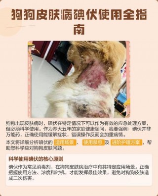 碘伏狗狗可以用吗，狗可以用碘伏嘛？