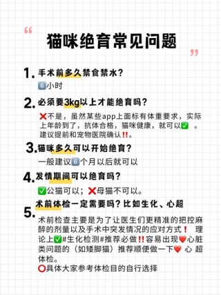 猫猫多久做绝育？猫咪一般多久做绝育（最新）