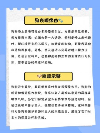 小狗狗叫怎么办？小狗喊叫怎么办（最新）