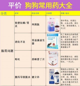 狗狗便秘吃什么药？狗狗便秘吃什么药好（最新）