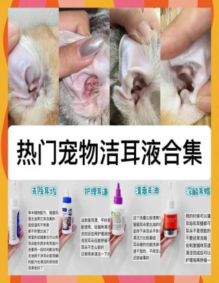 猫咪有耳螨用什么药，猫咪有耳螨用什么药好得快啊？
