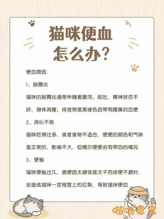猫咪便血怎么回事，猫咪便血该怎么办？