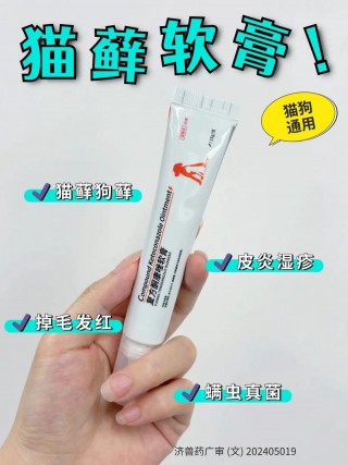 猫咪得了猫癣怎么办，猫咪得了猫癣会怎样？