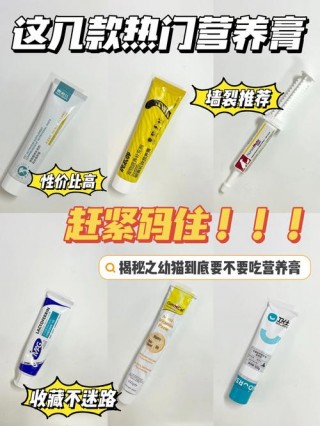 猫咪营养膏多久吃一次？猫咪营养膏多少天内用完（最新）