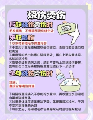 猫咪误食老鼠药怎么办，猫误食老鼠药有救吗？