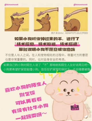 怎么跟狗狗表示友好，怎么跟狗狗表示友好相处？