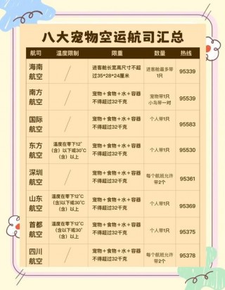 猫咪可以上飞机吗，国内猫咪可以上飞机吗？