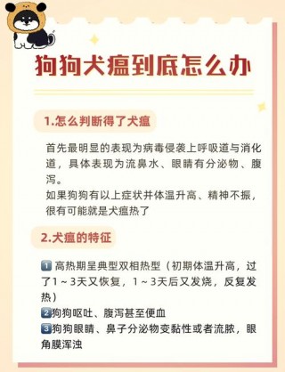 狗狗犬瘟热会传染人吗，犬瘟热会传染给人吗?？