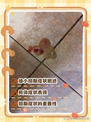 狗狗得了细小症状，狗狗得了细小症状很轻怎么回事？