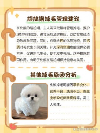 狗狗冬天可以剃毛吗，（狗狗冬天能不能剪毛）