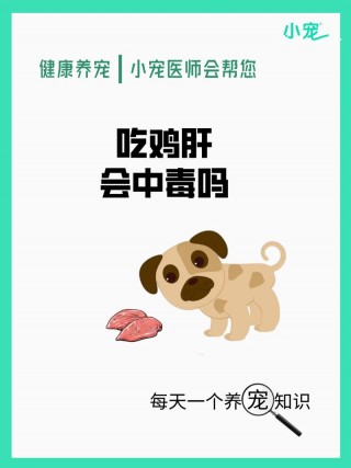 狗狗能喝鸡汤吗，（狗狗可以喝鸡汤么）